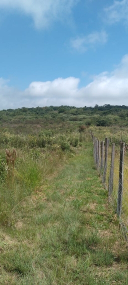 Chacara