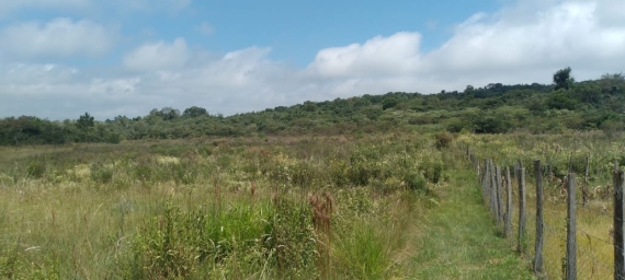 Chacara